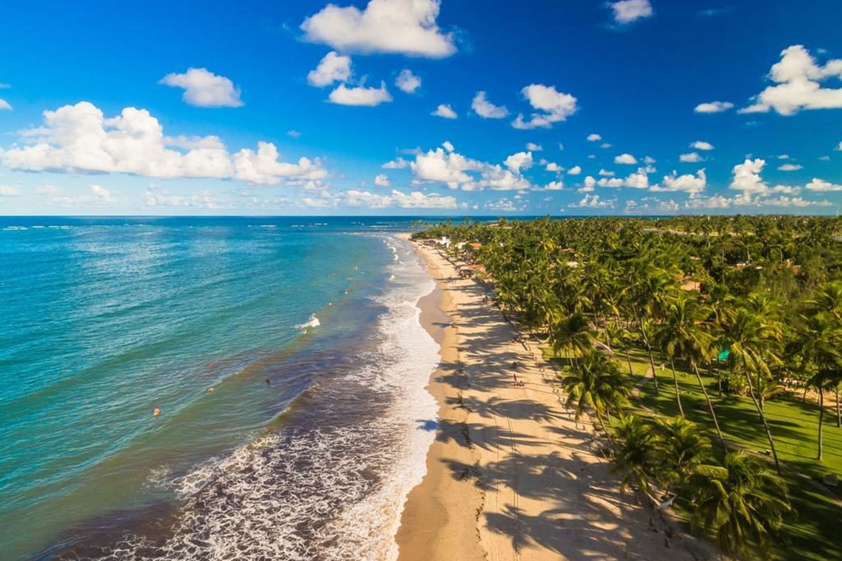 tour recife porto de galinhas